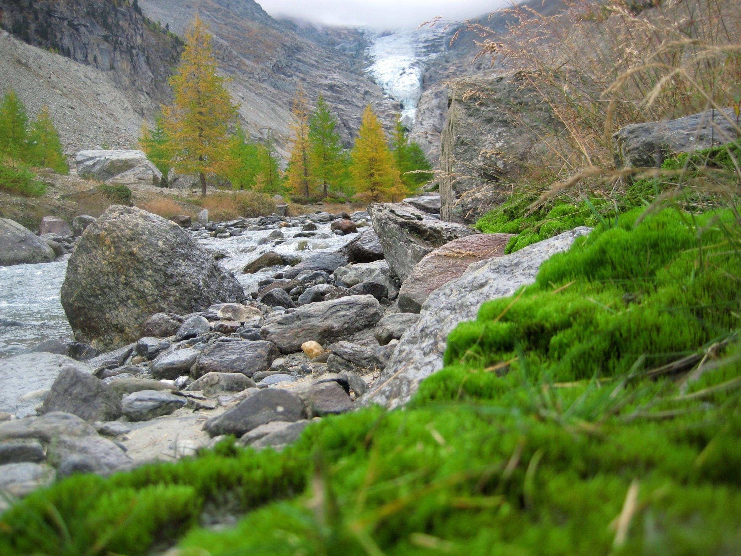 Gebirgsfluss in den Schweizer Alpen